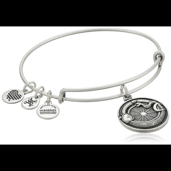 Alex and Ani Jewelry - ourboros alex and ani bracelet
